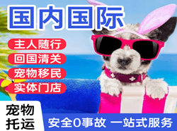 忻州机场货运国际宠物托运 【国
